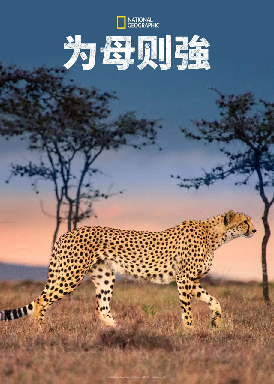 为母则强