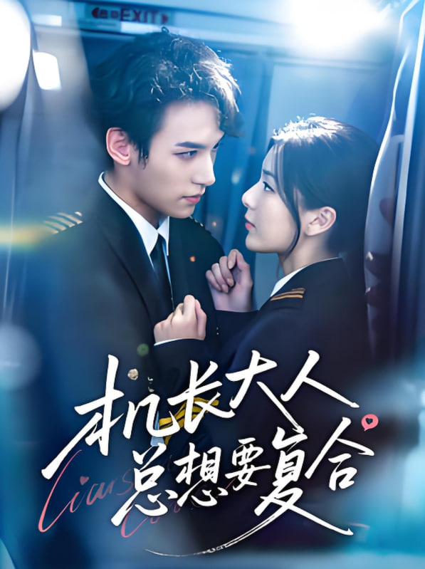 机长大人总想要复合