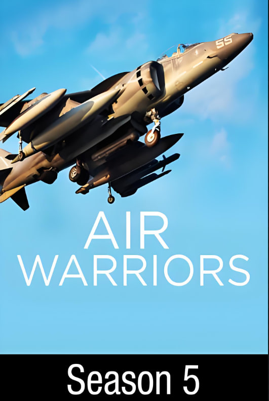 战机:空中勇士 第五季
