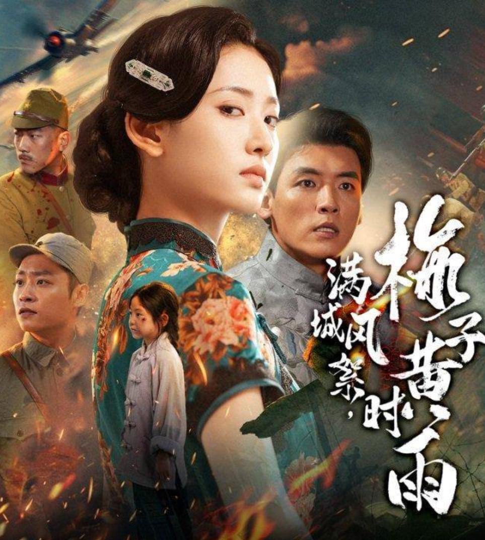 满城风絮梅子黄时雨