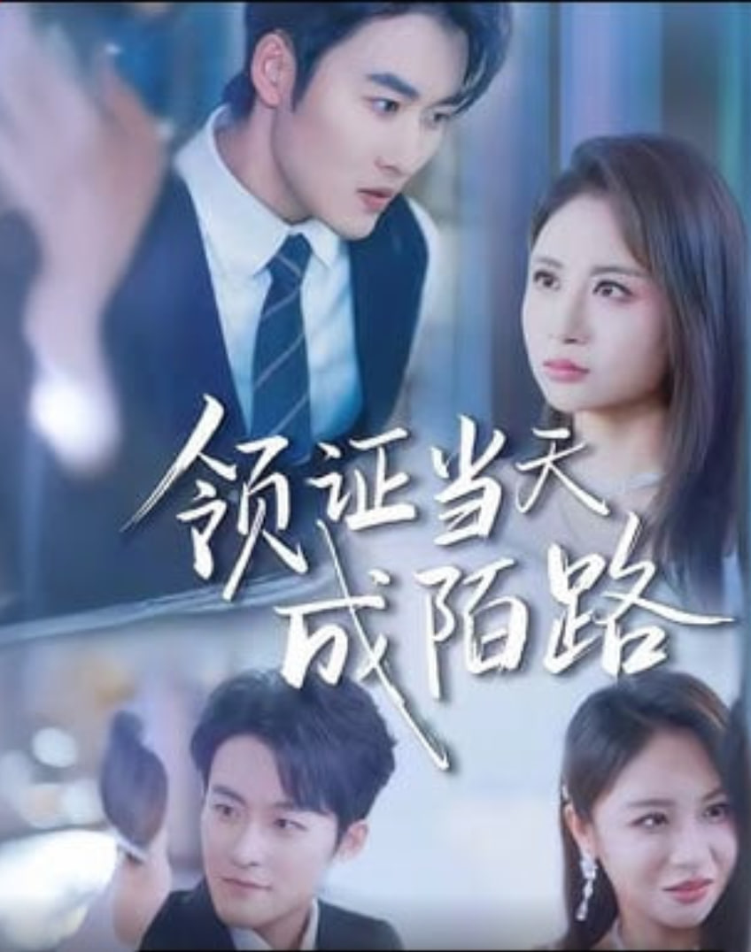 领证当天成陌路