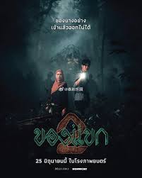 南洋秘术2